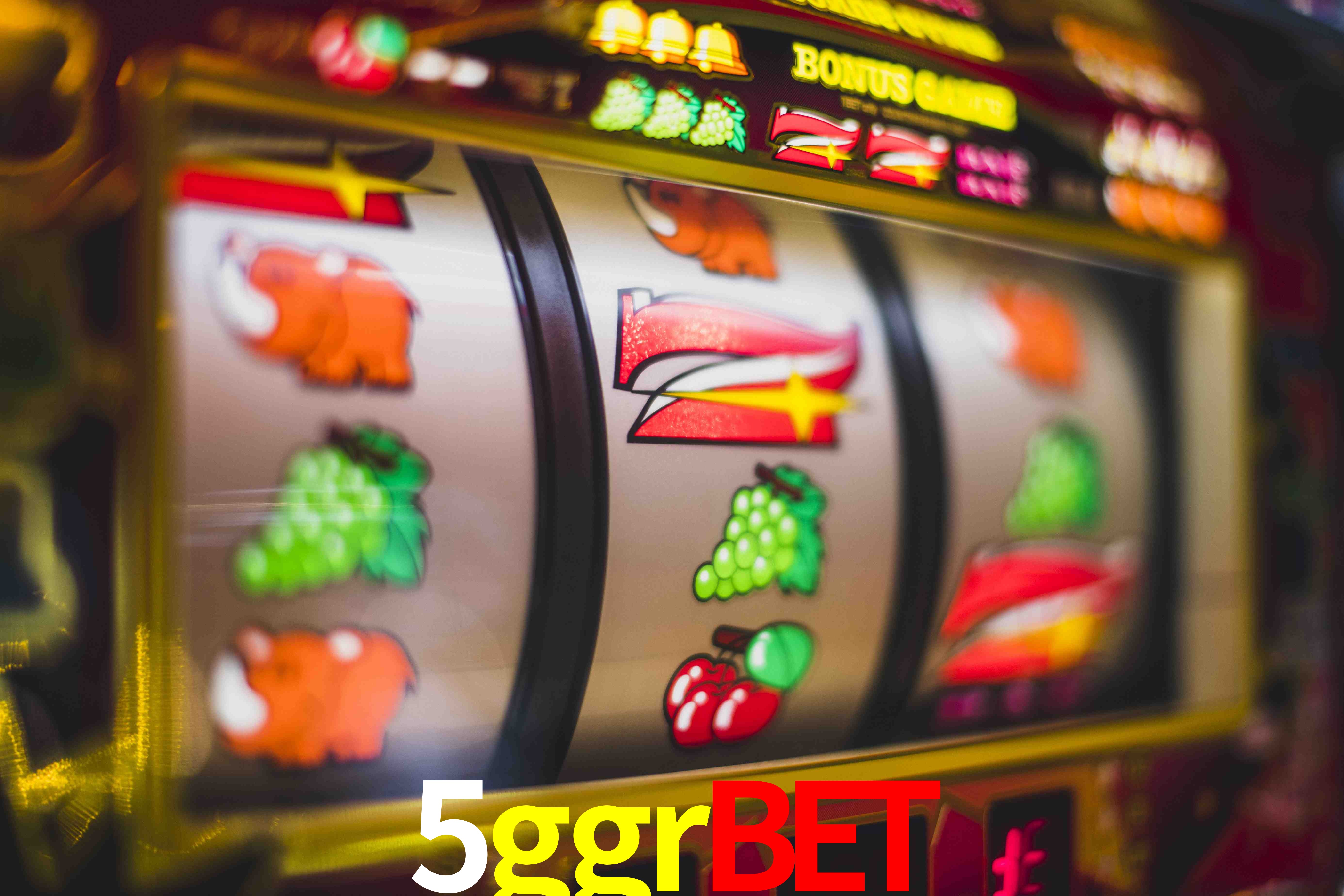 VIP Casino 5ggrbet